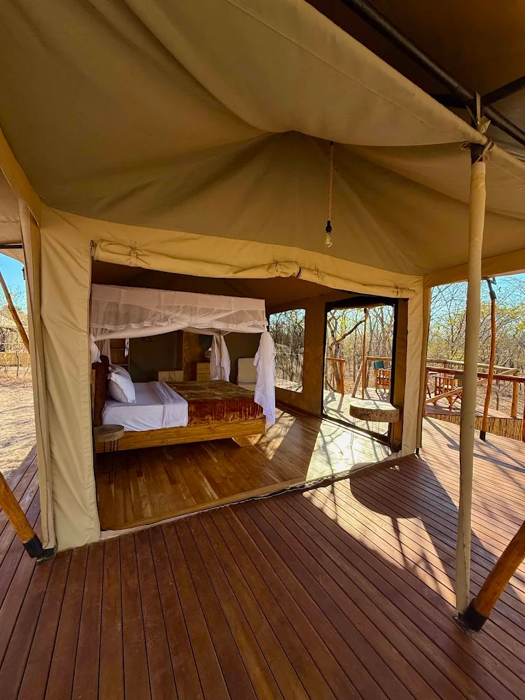 Budget Safari accommodation