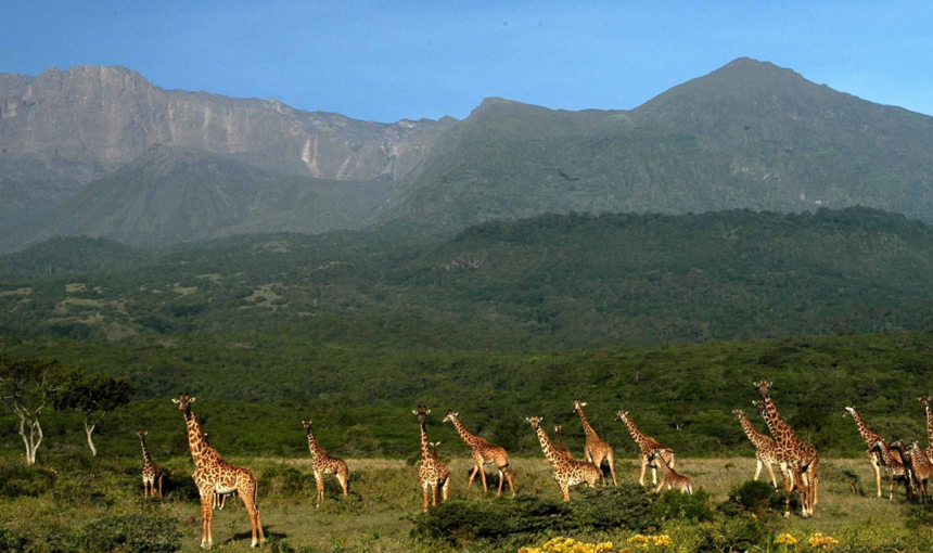  Top 10 Must-Visit National Parks in Tanzania for an Unforgettable Safari