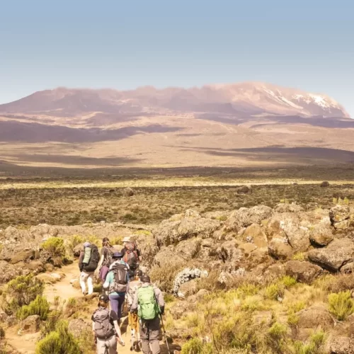 lemosho route kilimanjaro