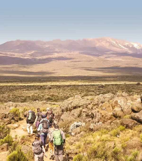 lemosho route kilimanjaro