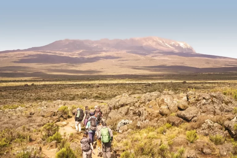 lemosho route kilimanjaro
