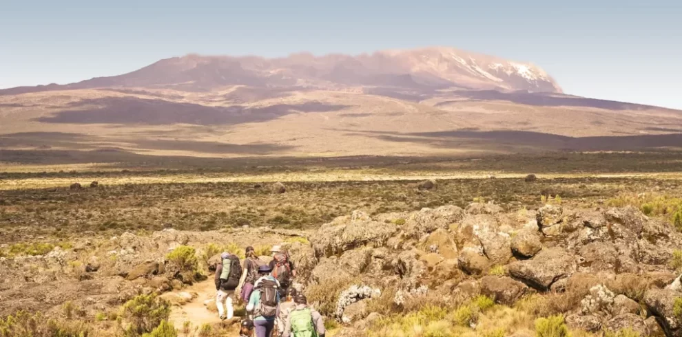 lemosho route kilimanjaro