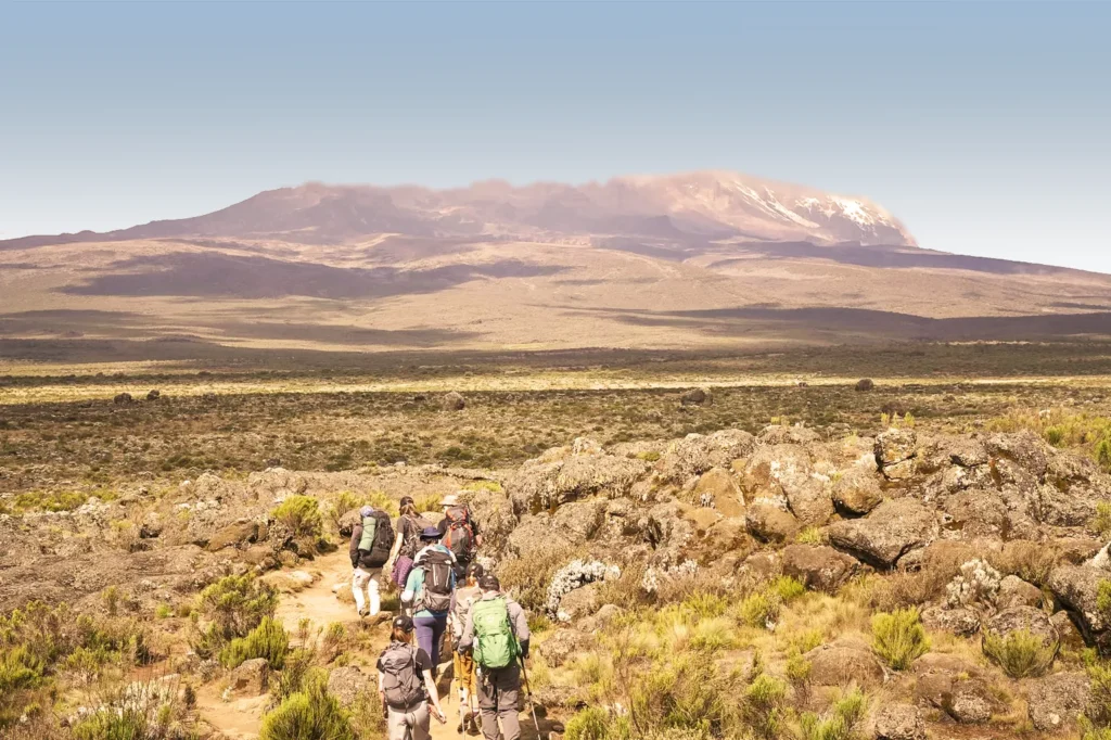 lemosho route kilimanjaro