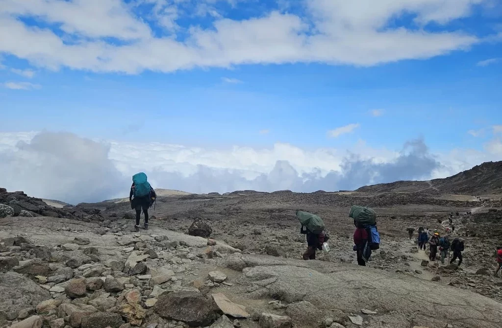 Kilimanjaro Training Guide: How to Prepare for the Climb