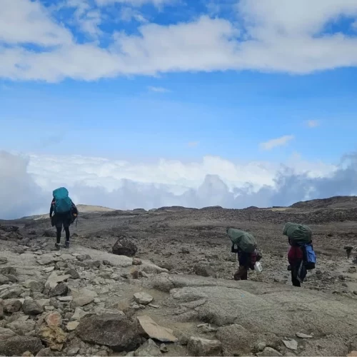 6 Days Marangu Route Kilimanjaro Climb