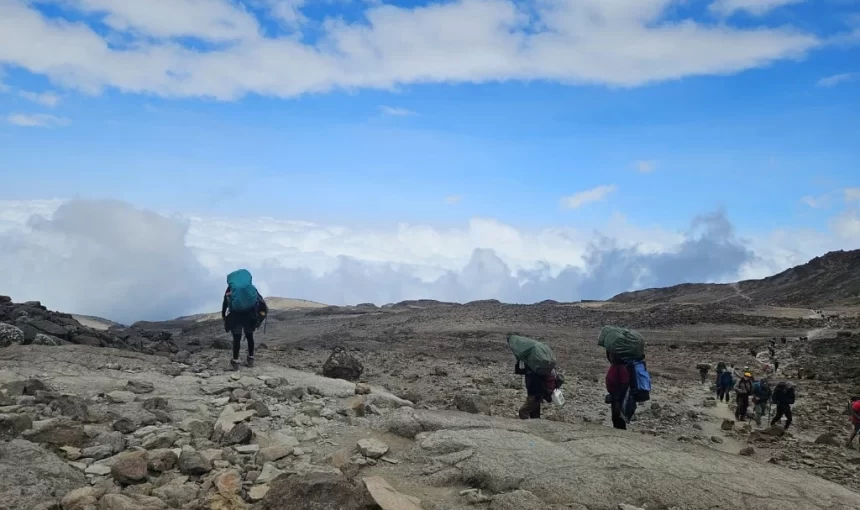 Kilimanjaro Training Guide: How to Prepare for the Climb