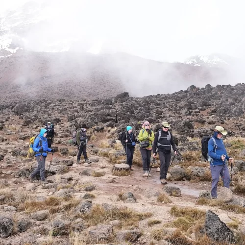 kilimanjaro Northern Circuit