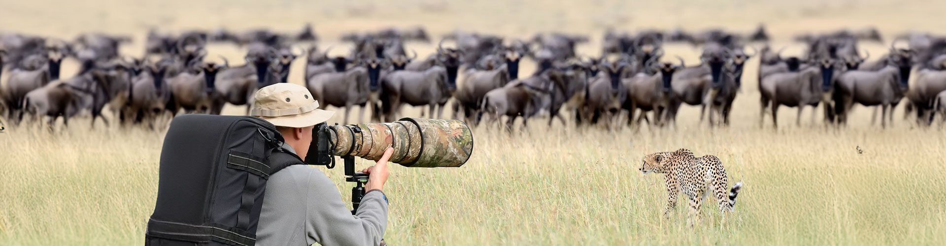 10 Days Safari