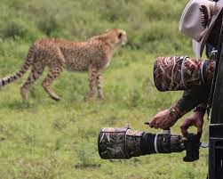 Photography Safari tanzania