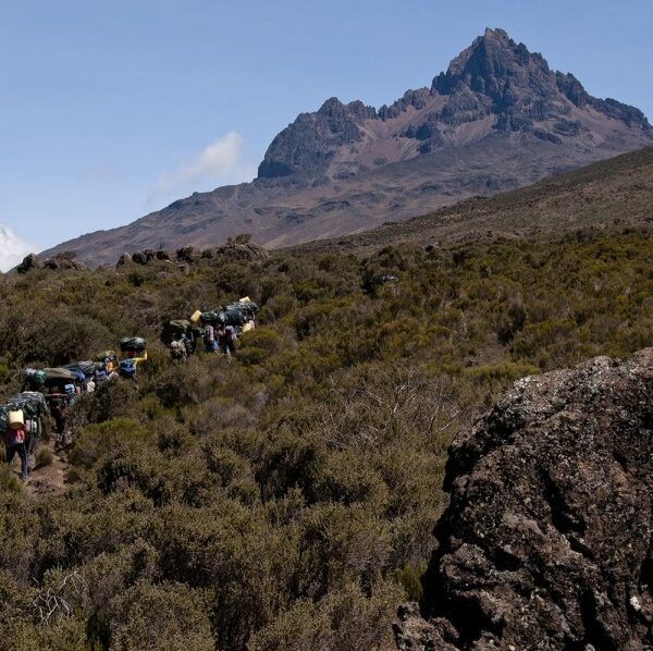 rongai route kilimanjaro climbing