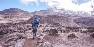 7 Days Rongai Route Kilimanjaro Climb