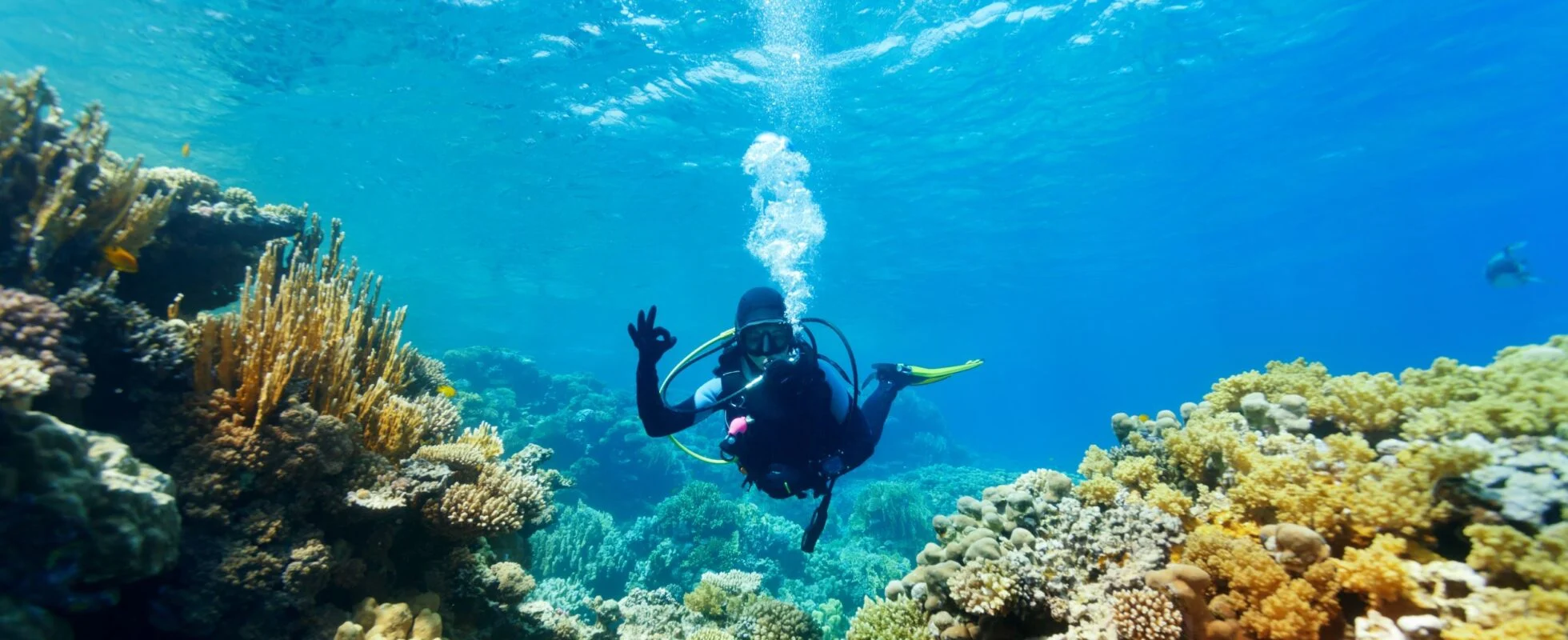 Zanzibar Snorkeling and Diving Holiday