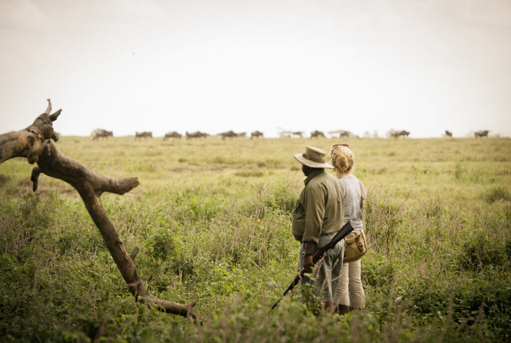 Walking safari in Tanzania