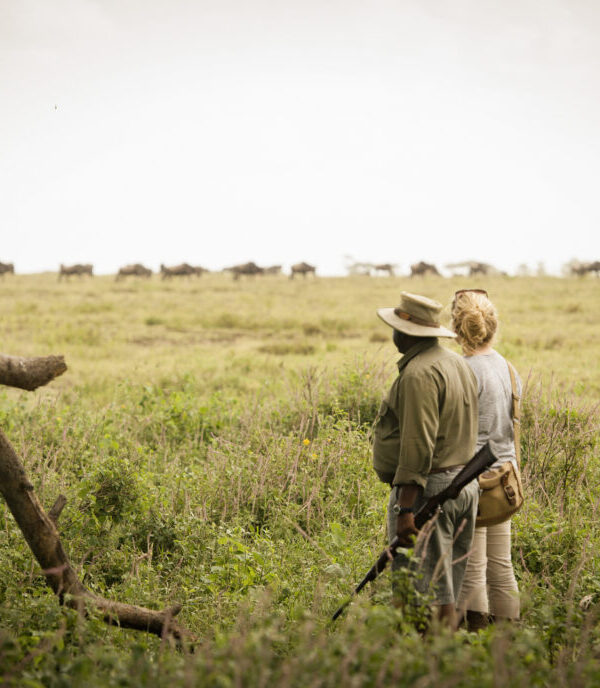 tanzania walking safari