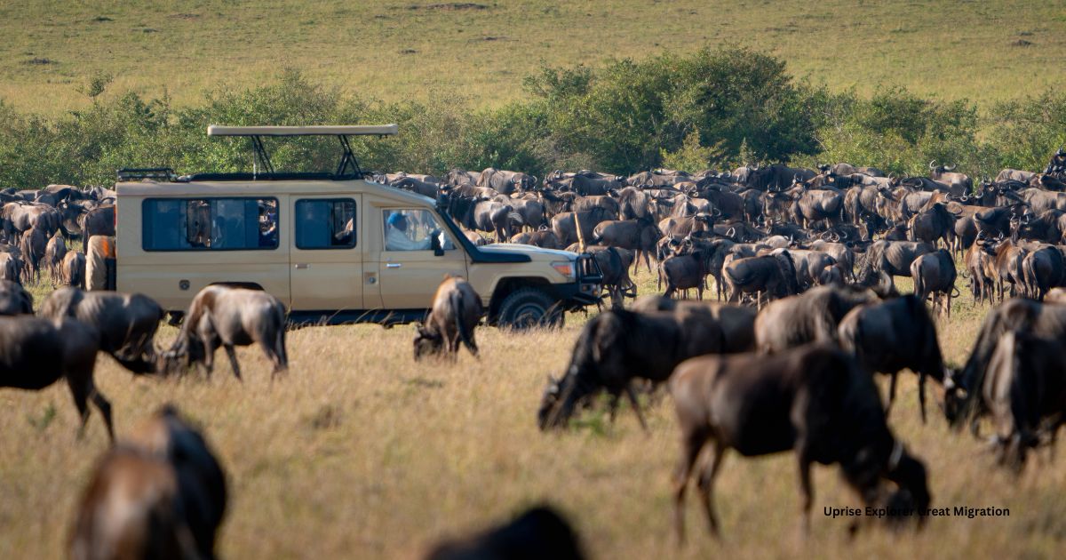Tanzania Game Drive Safari