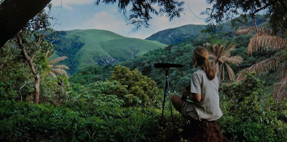 3-Day Gombe Chimpanzee Trekking Safari