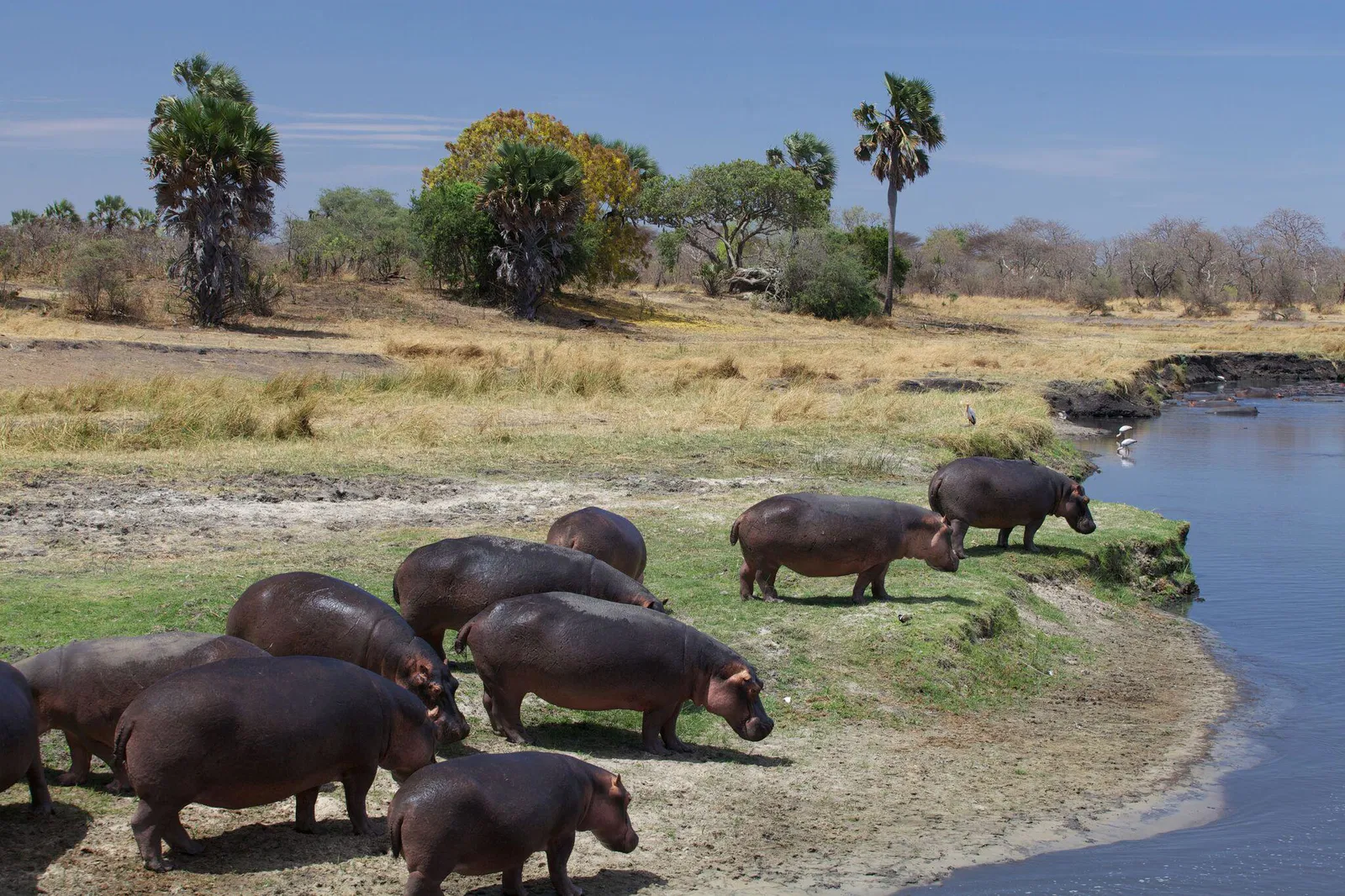 Katavi National Park