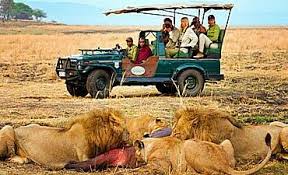 katavi tanzania private safari on game drive