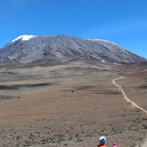 marangu roete kilimanjaro climbing