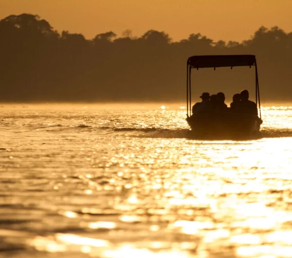 boat safari tanzania