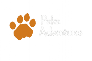 Paka Adventures Tanzania Safari