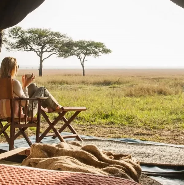 tanzania honeymoon safari