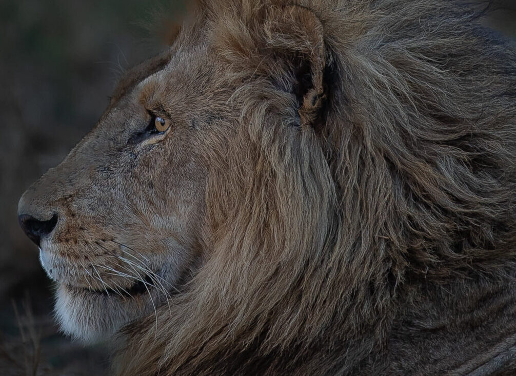 Serengeti National Park