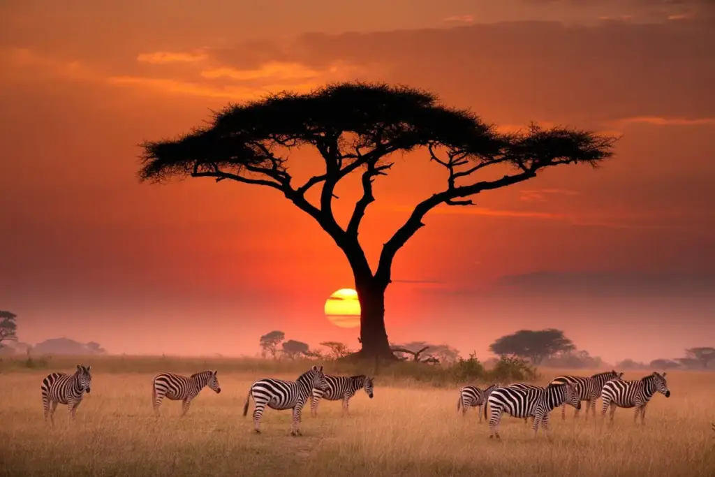 Zanzibar Beach Holiday and Tanzania Safari