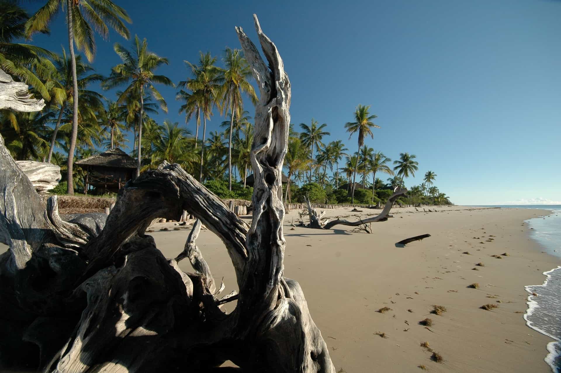 Saadani Coast Safari Accommodation