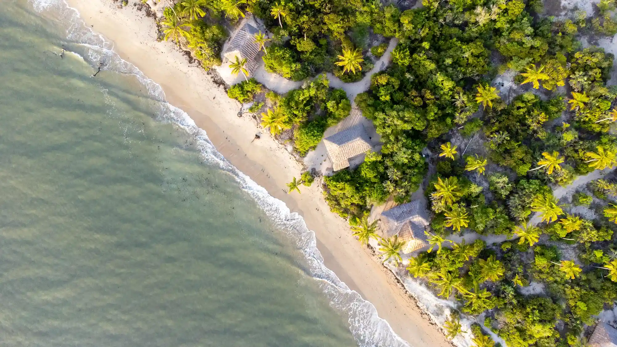 Simply Saadani Camp Beachfront Tents