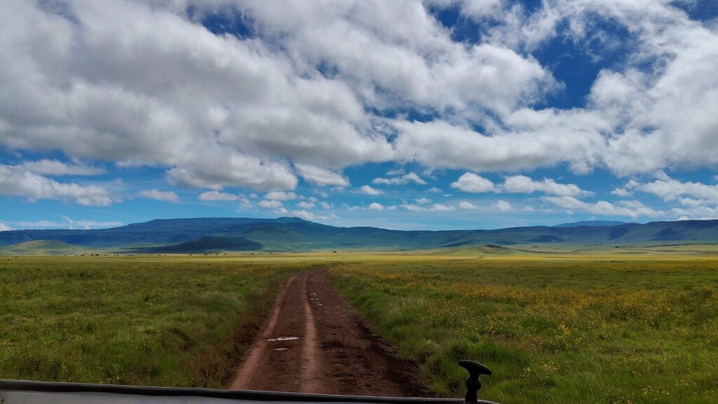 3-Day Ngorongoro Safari