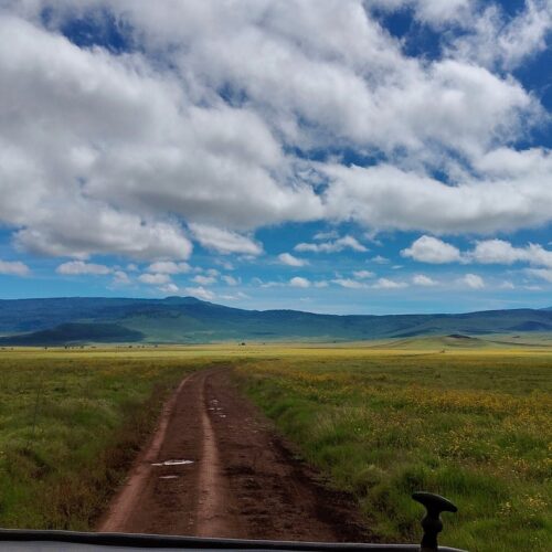 3-Day Ngorongoro Safari