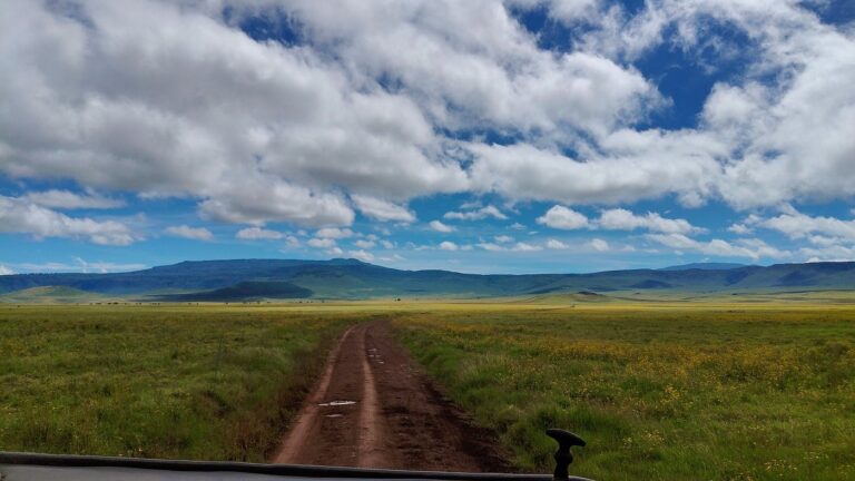 3-Day Ngorongoro Safari