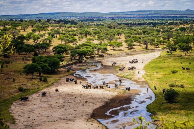 3-Day Tarangire Safari