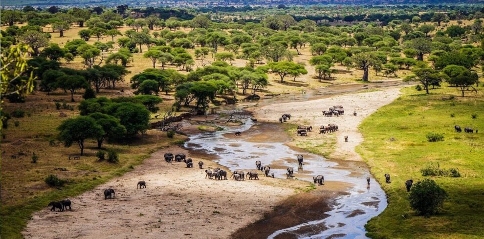 3-Day Tarangire Safari