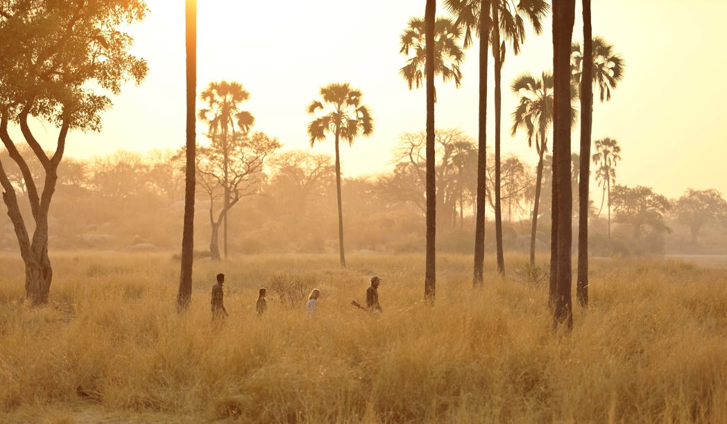 Ruaha National Park