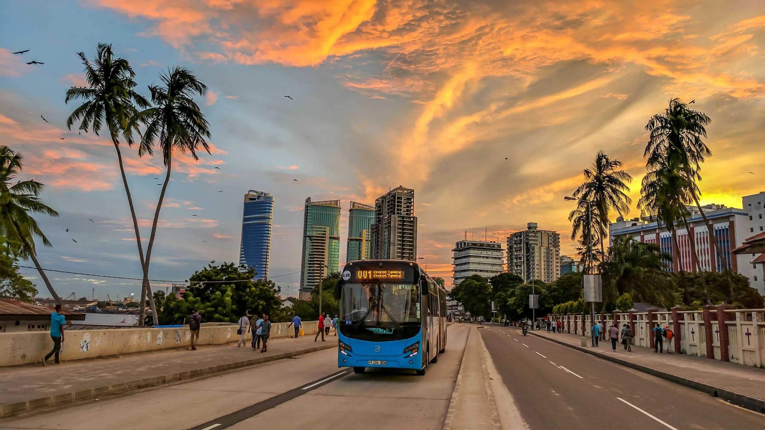 BRT Transport