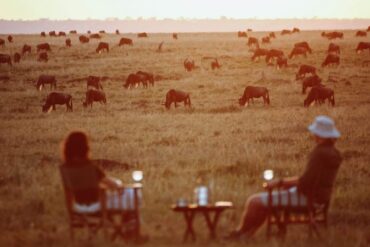 tanzania honeymoon safari on migration safari serengeti