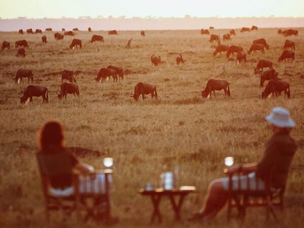 tanzania honeymoon safari on migration safari serengeti