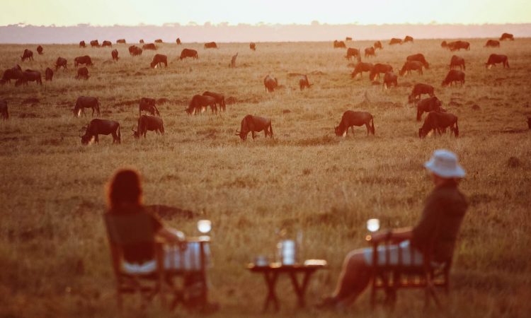tanzania honeymoon safari on migration safari serengeti