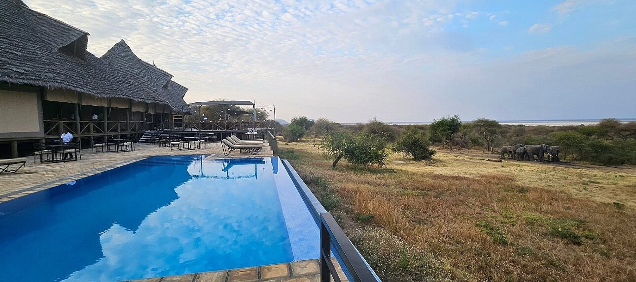 Tanzania Safari Booking Guide (2026/2027): How to Book the Right Safari