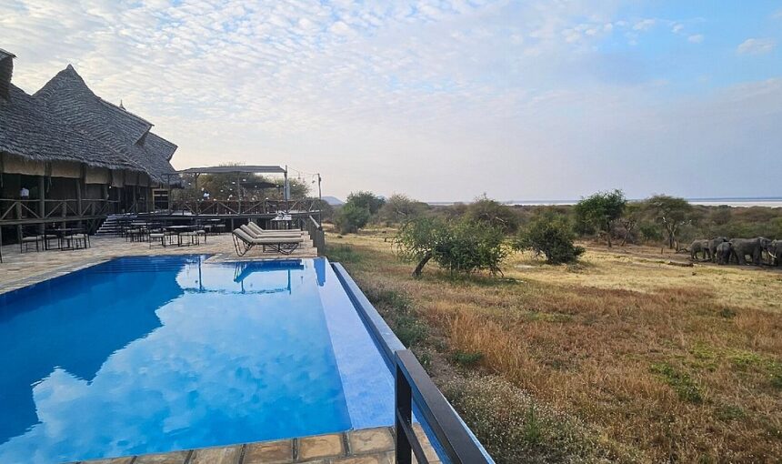 Tanzania Safari Booking Guide (2026/2027): How to Book the Right Safari