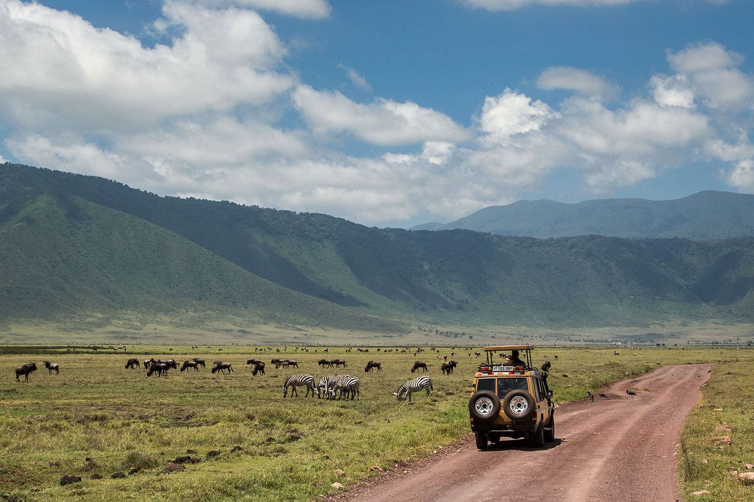 Ngorongoro Safari