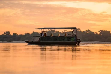 4-Day Nyerere National Park Boat Safari
