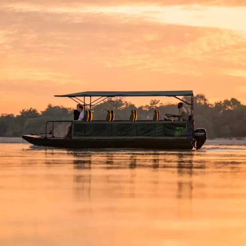 4-Day Nyerere National Park Boat Safari