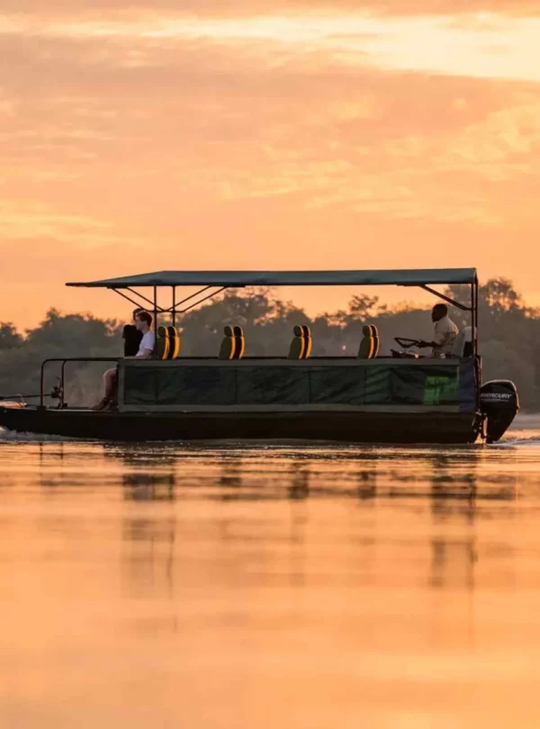 4-Day Nyerere National Park Boat Safari