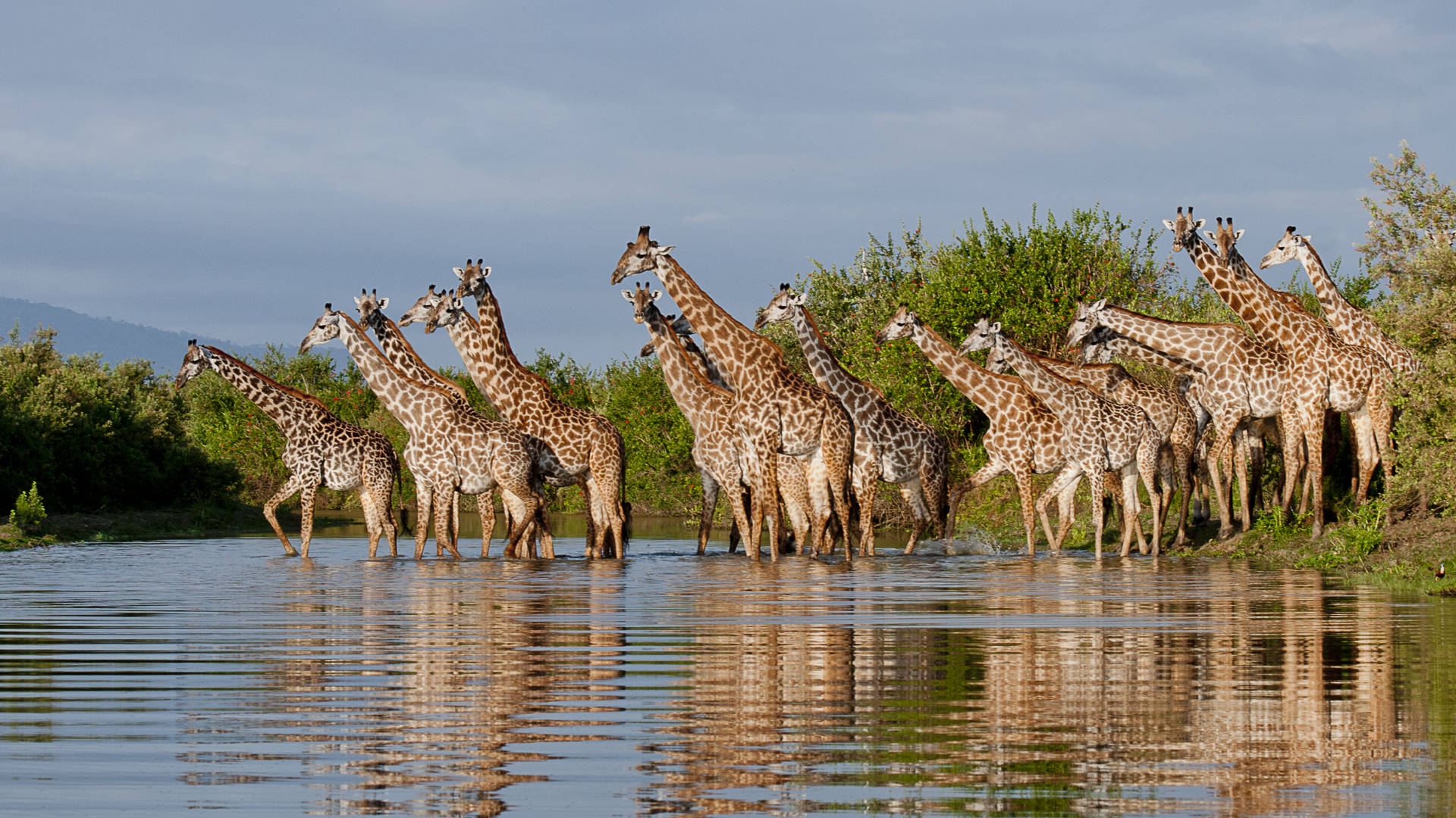 Nyerere National Park