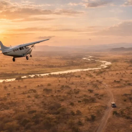 ruaha fly in safari from the sky