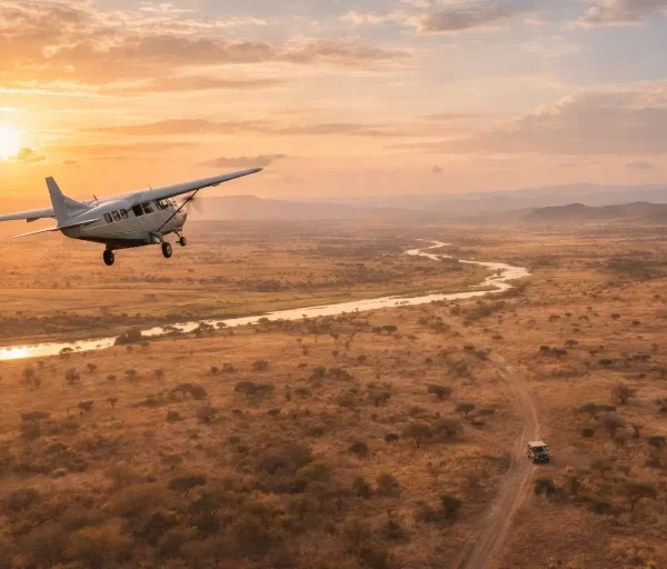 ruaha fly in safari from the sky
