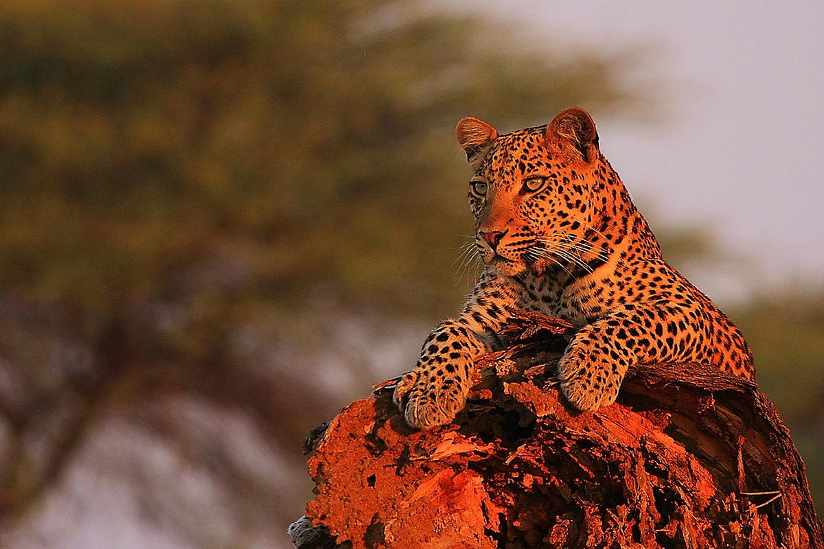 Southern Tanzania